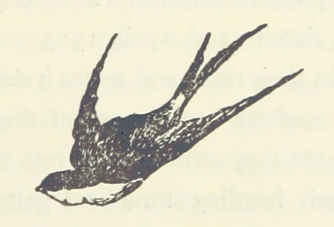 An illustration from The Lairds and Lands of Loch Tayside, 1892, leaf 65