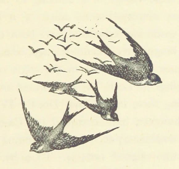 An illustration from The Lairds and Lands of Loch Tayside, 1892, leaf 91