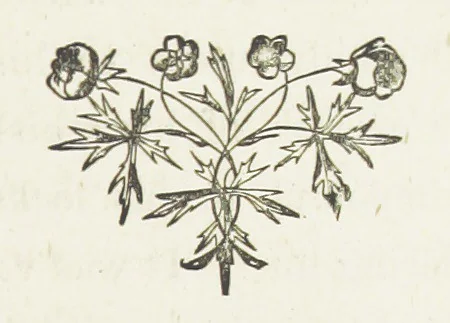 An illustration from From the Plough to the Pulpit, viâ Cambridge. [A novel, 1874, leaf 245