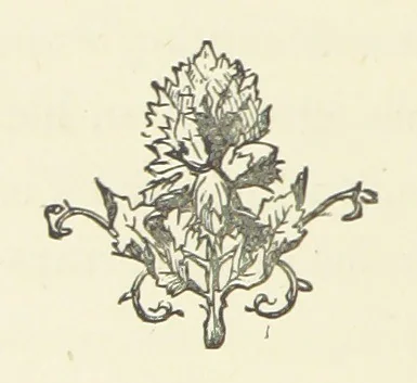 An illustration from From the Plough to the Pulpit, viâ Cambridge. [A novel, 1874, leaf 274