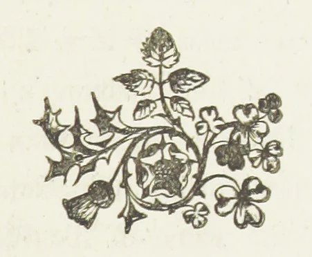 An illustration from From the Plough to the Pulpit, viâ Cambridge. [A novel, 1874, leaf 157