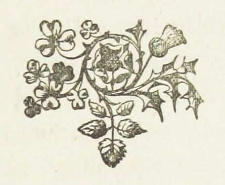 An illustration from From the Plough to the Pulpit, viâ Cambridge. [A novel, 1874, leaf 299
