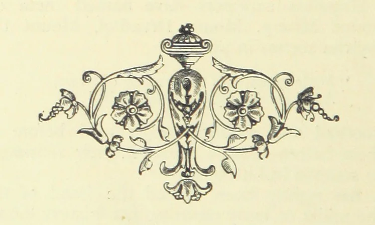 An illustration from The Austral Edition of the Selected Works of Marcus Clarke, together with a biography and monograph of the deceased author, compiled and edited by Hamilton Mackinnon. [With portraits, 1890, leaf 246