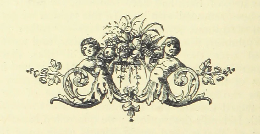 An illustration from The Austral Edition of the Selected Works of Marcus Clarke, together with a biography and monograph of the deceased author, compiled and edited by Hamilton Mackinnon. [With portraits, 1890, leaf 252