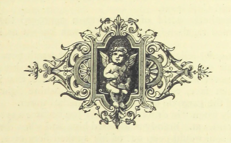 An illustration from The Austral Edition of the Selected Works of Marcus Clarke, together with a biography and monograph of the deceased author, compiled and edited by Hamilton Mackinnon. [With portraits, 1890, leaf 263