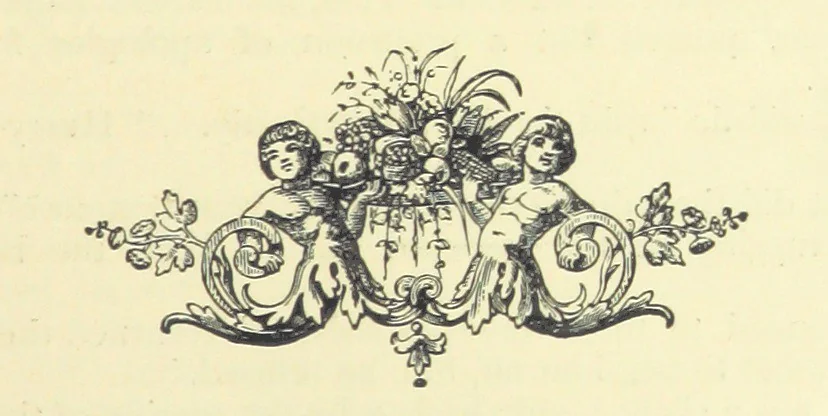An illustration from The Austral Edition of the Selected Works of Marcus Clarke, together with a biography and monograph of the deceased author, compiled and edited by Hamilton Mackinnon. [With portraits, 1890, leaf 403