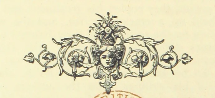 An illustration from The Austral Edition of the Selected Works of Marcus Clarke, together with a biography and monograph of the deceased author, compiled and edited by Hamilton Mackinnon. [With portraits, 1890, leaf 530