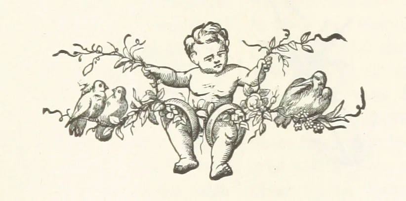 An illustration from History of Clear Creek and Boulder Valleys, Colorado. Containing a brief history of the State of Colorado [by W. B. Vickers] ... a history of Gilpin, Clear Creek, Boulder and Jefferson Counties [respectively by J. Burrell, A. Frost, A. Bixby and E. L. Berthoud] and biographical sketches, 1880, leaf 505