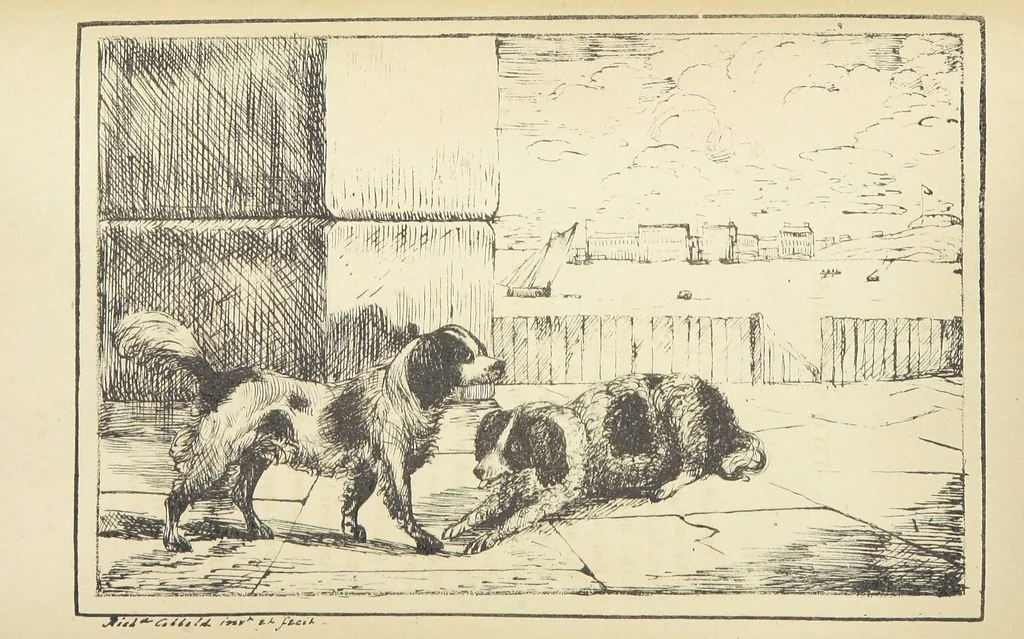 An illustration from Valentine Verses; or, Lines of truth, love, and virtue. [With plates, lithographed by the author, 1827, leaf 102