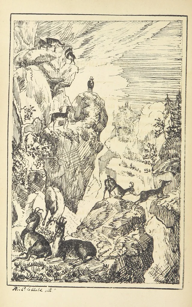 An illustration from Valentine Verses; or, Lines of truth, love, and virtue. [With plates, lithographed by the author, 1827, leaf 134