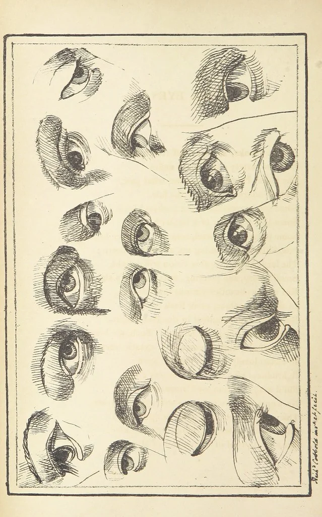 An illustration from Valentine Verses; or, Lines of truth, love, and virtue. [With plates, lithographed by the author, 1827, leaf 142