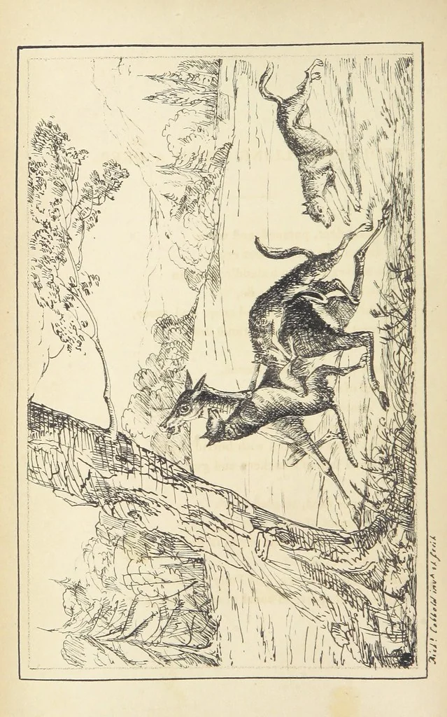 An illustration from Valentine Verses; or, Lines of truth, love, and virtue. [With plates, lithographed by the author, 1827, leaf 156