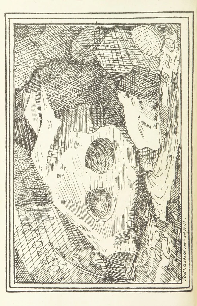 An illustration from Valentine Verses; or, Lines of truth, love, and virtue. [With plates, lithographed by the author, 1827, leaf 280