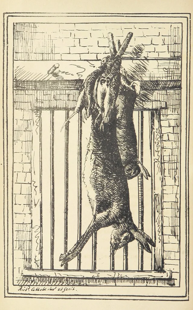 An illustration from Valentine Verses; or, Lines of truth, love, and virtue. [With plates, lithographed by the author, 1827, leaf 294