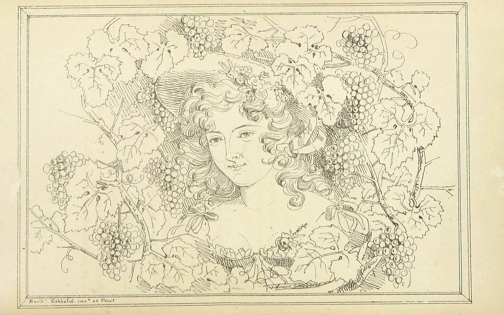 An illustration from Valentine Verses; or, Lines of truth, love, and virtue. [With plates, lithographed by the author, 1827, leaf 298