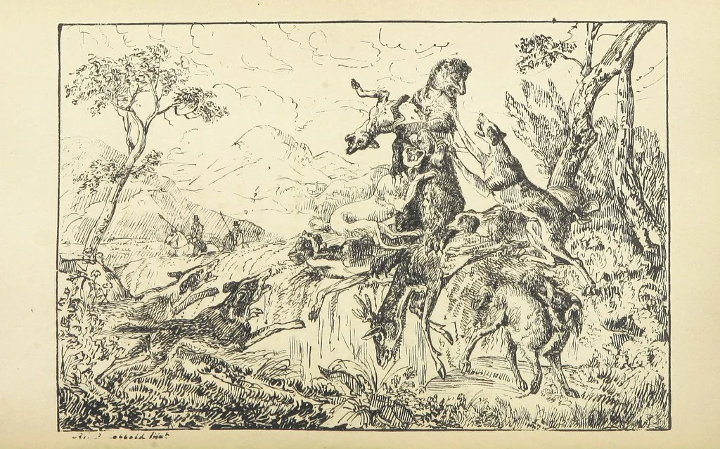 An illustration from Valentine Verses; or, Lines of truth, love, and virtue. [With plates, lithographed by the author, 1827, leaf 372