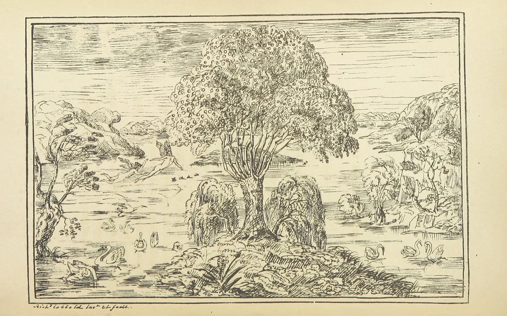 An illustration from Valentine Verses; or, Lines of truth, love, and virtue. [With plates, lithographed by the author, 1827, leaf 378