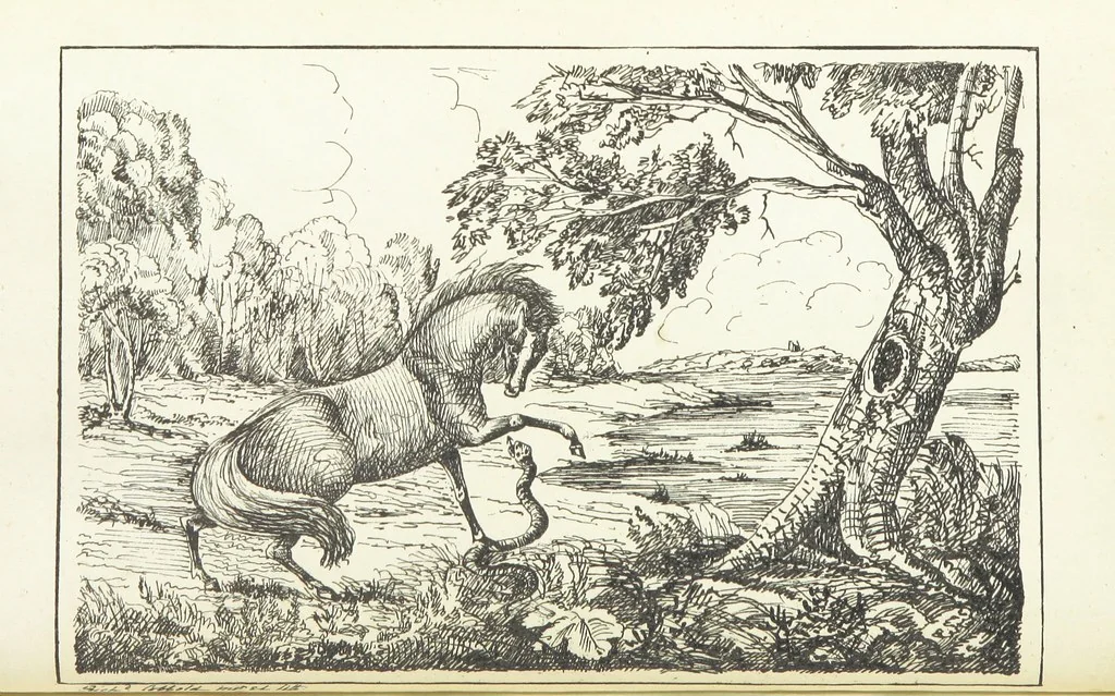 An illustration from Valentine Verses; or, Lines of truth, love, and virtue. [With plates, lithographed by the author, 1827, leaf 44
