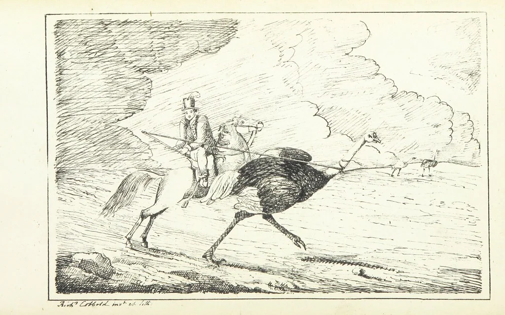 An illustration from Valentine Verses; or, Lines of truth, love, and virtue. [With plates, lithographed by the author, 1827, leaf 48