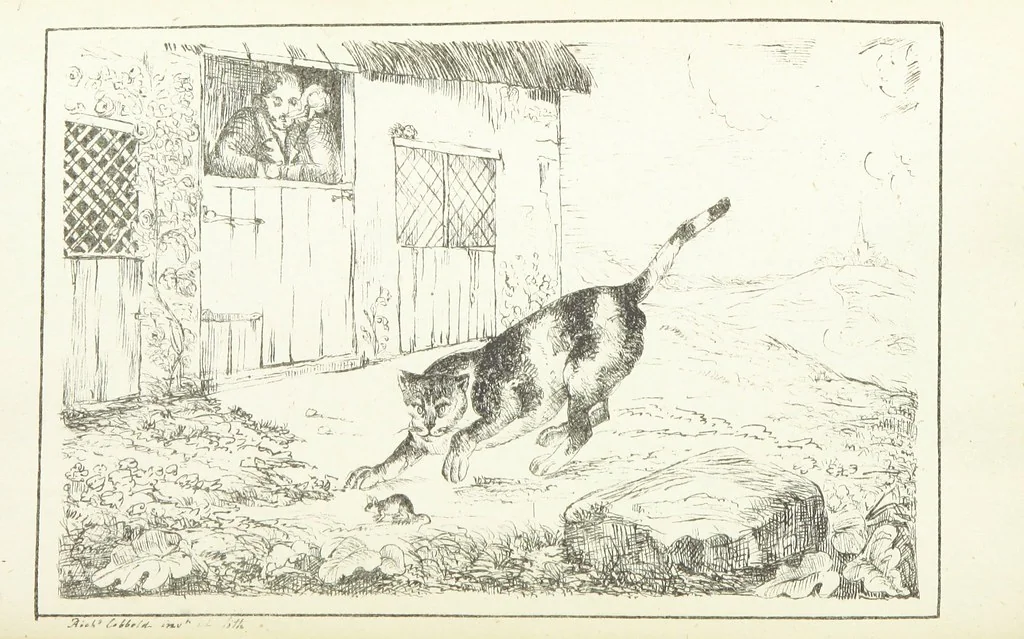 An illustration from Valentine Verses; or, Lines of truth, love, and virtue. [With plates, lithographed by the author, 1827, leaf 52