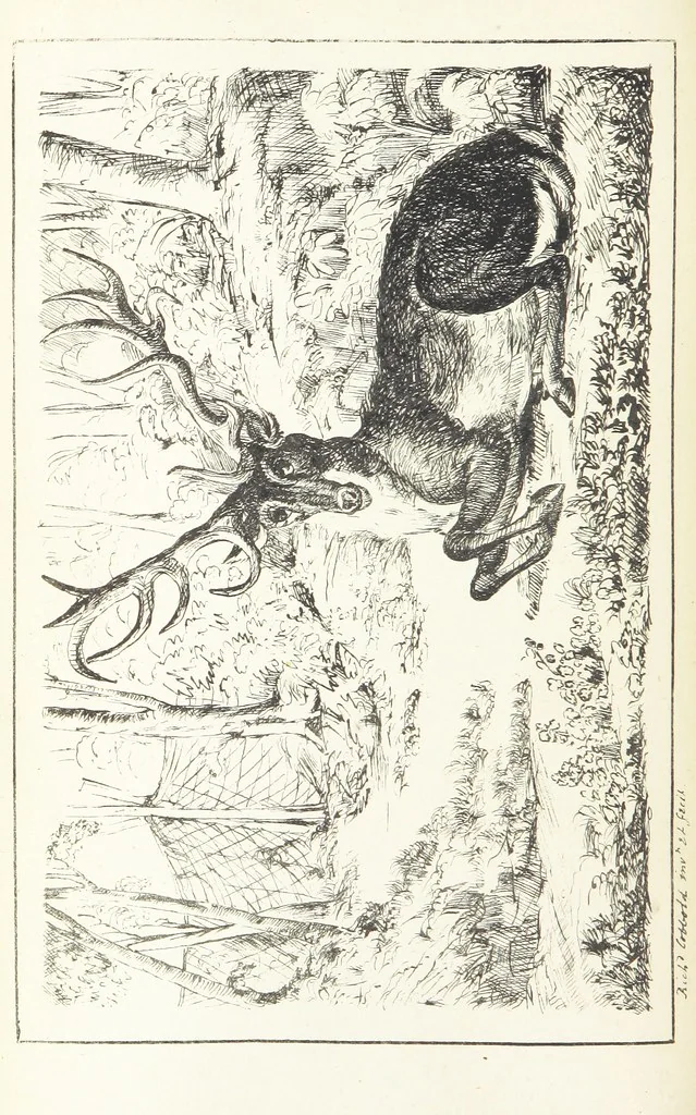 An illustration from Valentine Verses; or, Lines of truth, love, and virtue. [With plates, lithographed by the author, 1827, leaf 60