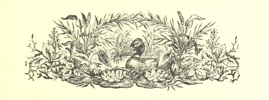 An illustration from On Foot through Wharfedale: descriptive & historical notes of the towns and villages of Upper & Lower Wharfedale. [With illustrations and a map, 1882, leaf 107