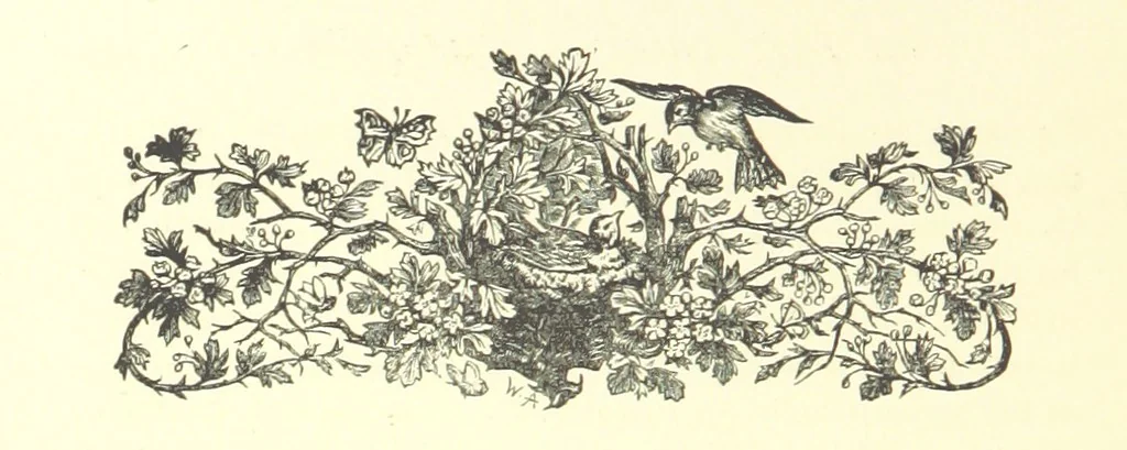 An illustration from On Foot through Wharfedale: descriptive & historical notes of the towns and villages of Upper & Lower Wharfedale. [With illustrations and a map, 1882, leaf 136
