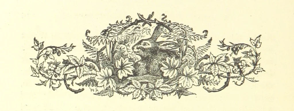 An illustration from On Foot through Wharfedale: descriptive & historical notes of the towns and villages of Upper & Lower Wharfedale. [With illustrations and a map, 1882, leaf 164