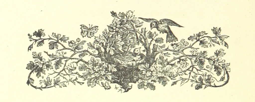 An illustration from On Foot through Wharfedale: descriptive & historical notes of the towns and villages of Upper & Lower Wharfedale. [With illustrations and a map, 1882, leaf 192