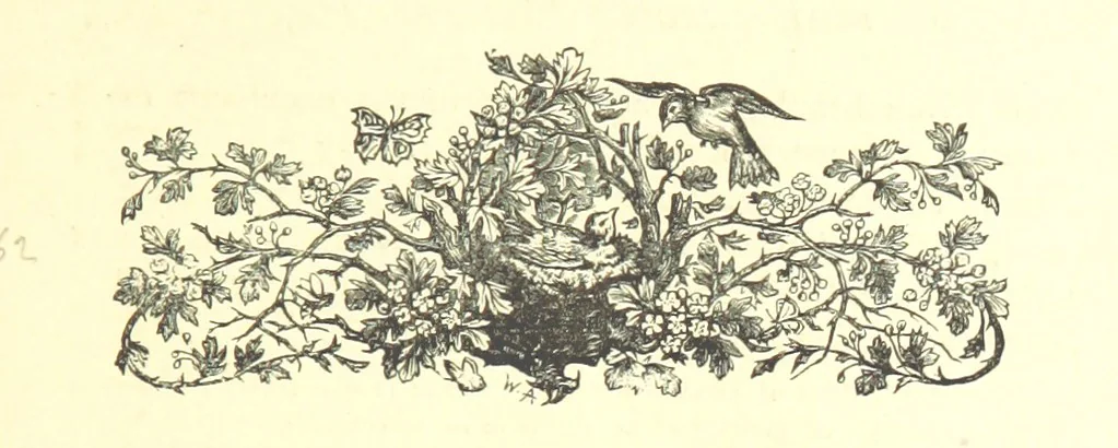 An illustration from On Foot through Wharfedale: descriptive & historical notes of the towns and villages of Upper & Lower Wharfedale. [With illustrations and a map, 1882, leaf 23