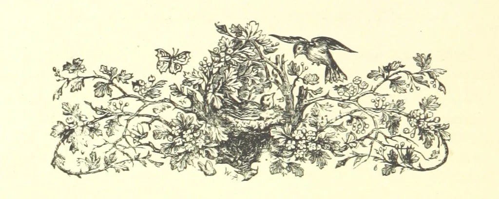 An illustration from On Foot through Wharfedale: descriptive & historical notes of the towns and villages of Upper & Lower Wharfedale. [With illustrations and a map, 1882, leaf 250