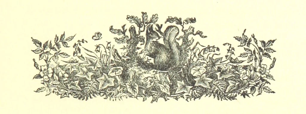 An illustration from On Foot through Wharfedale: descriptive & historical notes of the towns and villages of Upper & Lower Wharfedale. [With illustrations and a map, 1882, leaf 259