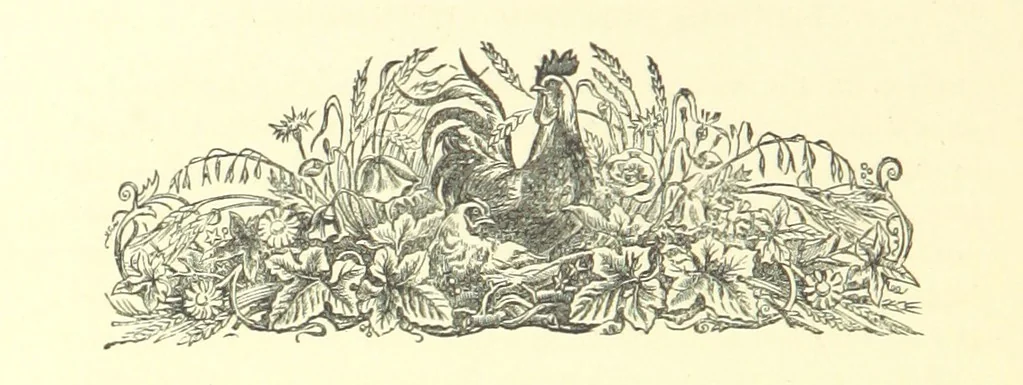 An illustration from On Foot through Wharfedale: descriptive & historical notes of the towns and villages of Upper & Lower Wharfedale. [With illustrations and a map, 1882, leaf 266