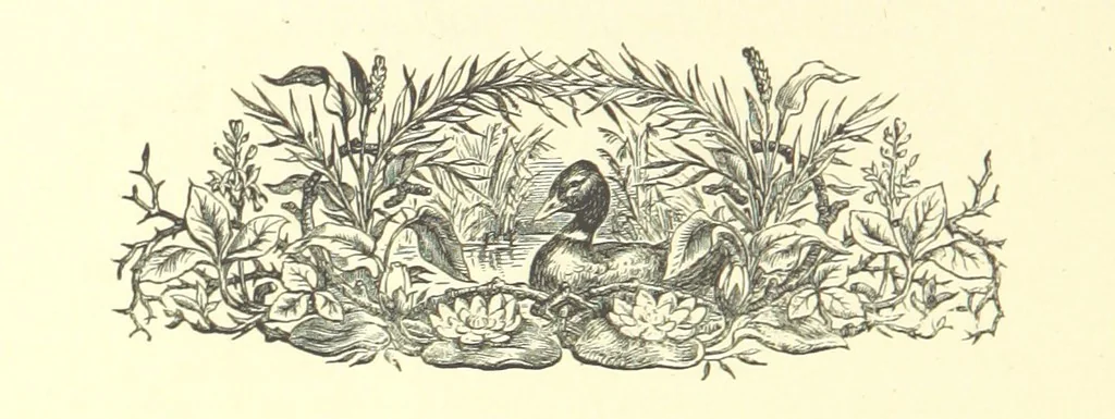 An illustration from On Foot through Wharfedale: descriptive & historical notes of the towns and villages of Upper & Lower Wharfedale. [With illustrations and a map, 1882, leaf 272