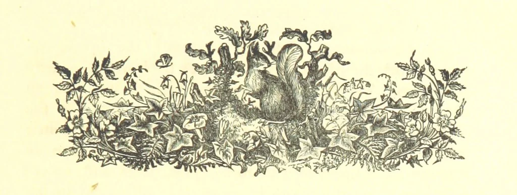 An illustration from On Foot through Wharfedale: descriptive & historical notes of the towns and villages of Upper & Lower Wharfedale. [With illustrations and a map, 1882, leaf 29