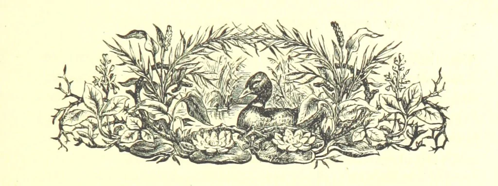 An illustration from On Foot through Wharfedale: descriptive & historical notes of the towns and villages of Upper & Lower Wharfedale. [With illustrations and a map, 1882, leaf 43