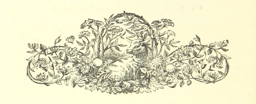 An illustration from On Foot through Wharfedale: descriptive & historical notes of the towns and villages of Upper & Lower Wharfedale. [With illustrations and a map, 1882, leaf 50