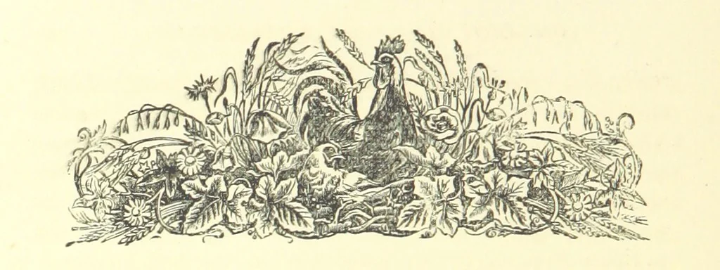 An illustration from On Foot through Wharfedale: descriptive & historical notes of the towns and villages of Upper & Lower Wharfedale. [With illustrations and a map, 1882, leaf 66