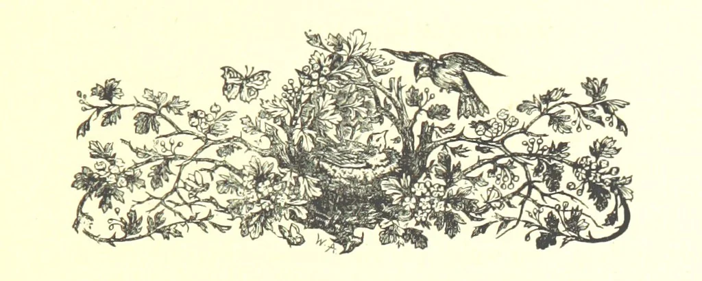 An illustration from On Foot through Wharfedale: descriptive & historical notes of the towns and villages of Upper & Lower Wharfedale. [With illustrations and a map, 1882, leaf 73