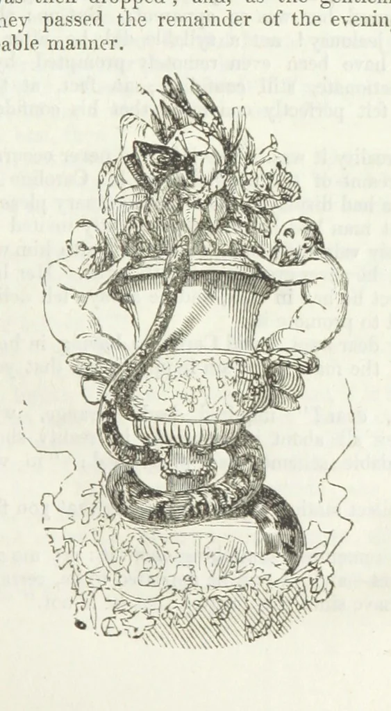 An illustration from The Sisters; or, the Fatal marriages ... Illustrated with fifty-eight engravings by Kenny Meadows and Alfred Crowquill: a portrait of the author: and twenty-two etchings on steel, by Onwhyn. Second edition, with additions, 1851, leaf 133