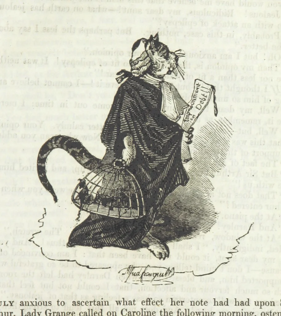 An illustration from The Sisters; or, the Fatal marriages ... Illustrated with fifty-eight engravings by Kenny Meadows and Alfred Crowquill: a portrait of the author: and twenty-two etchings on steel, by Onwhyn. Second edition, with additions, 1851, leaf 141