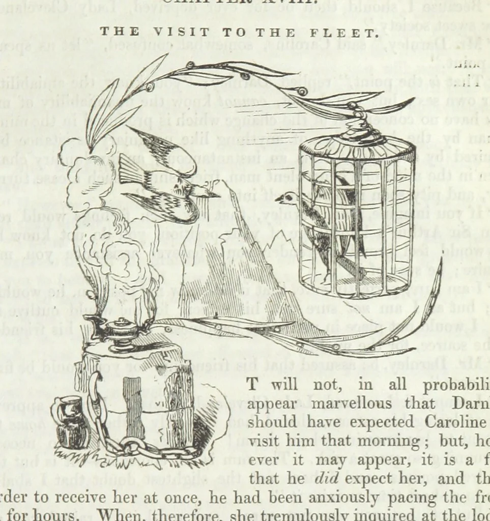 An illustration from The Sisters; or, the Fatal marriages ... Illustrated with fifty-eight engravings by Kenny Meadows and Alfred Crowquill: a portrait of the author: and twenty-two etchings on steel, by Onwhyn. Second edition, with additions, 1851, leaf 149