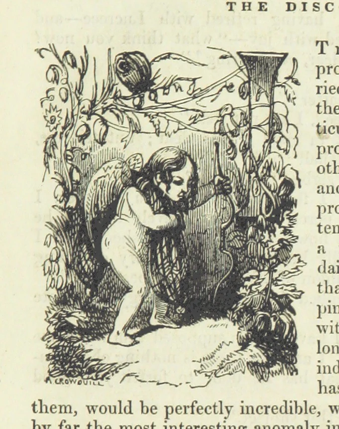An illustration from The Sisters; or, the Fatal marriages ... Illustrated with fifty-eight engravings by Kenny Meadows and Alfred Crowquill: a portrait of the author: and twenty-two etchings on steel, by Onwhyn. Second edition, with additions, 1851, leaf 19