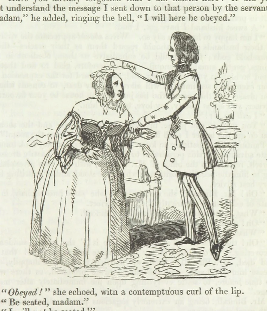 An illustration from The Sisters; or, the Fatal marriages ... Illustrated with fifty-eight engravings by Kenny Meadows and Alfred Crowquill: a portrait of the author: and twenty-two etchings on steel, by Onwhyn. Second edition, with additions, 1851, leaf 267