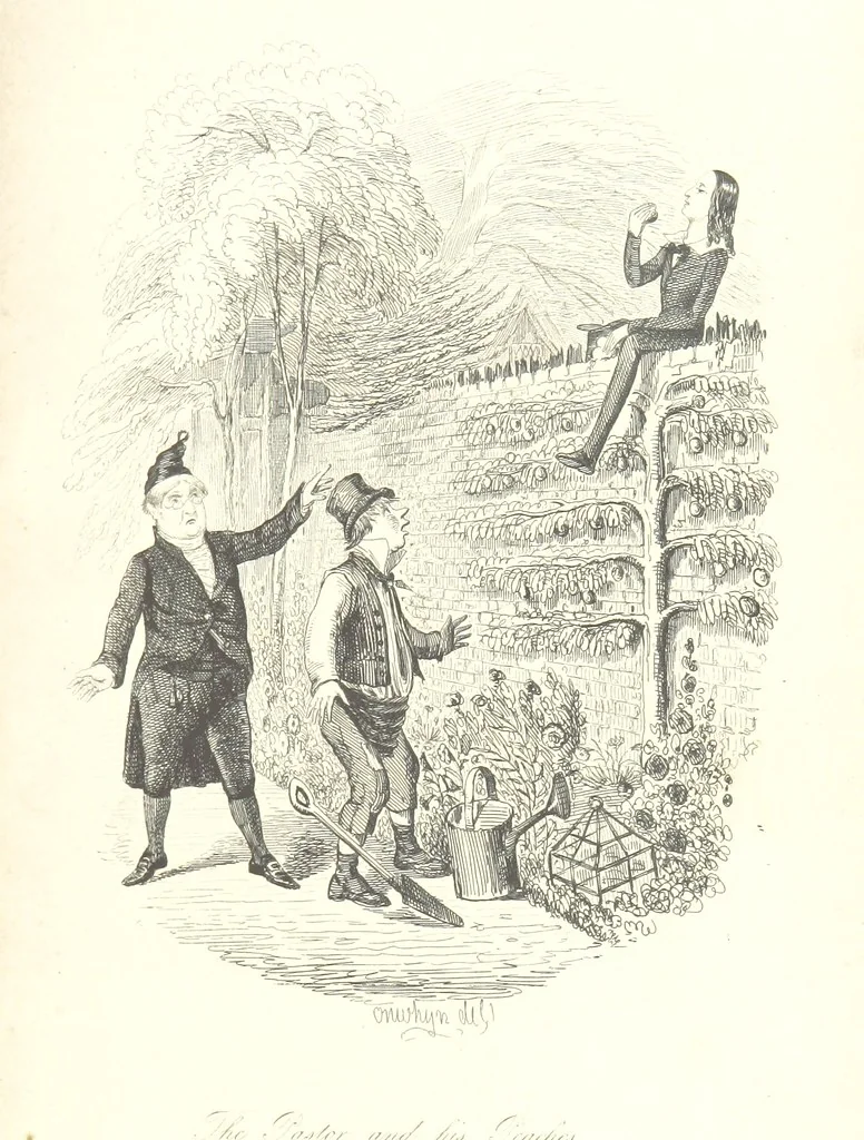 An illustration from Sylvester Sound, the Somnambulist. (Illustrated by Onwhyn.) [With a portrait of the author, 1844, leaf 365
