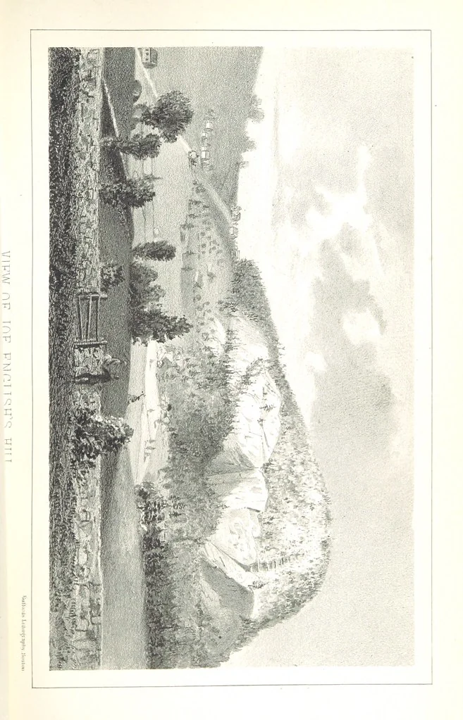 An illustration from History of New Boston, New Hampshire. [With plates, including portraits, 1864, leaf 365