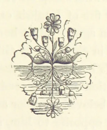 An illustration from Lady Betty ... With original illustrations, 1870, leaf 123