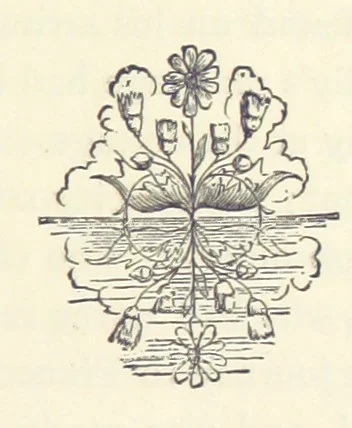 An illustration from Lady Betty ... With original illustrations, 1870, leaf 301