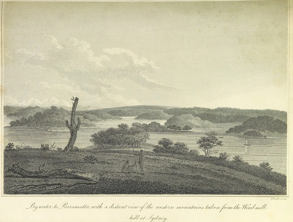An illustration from An Account of the English Colony in New South Wales ... To which are added, some particulars of New Zealand; compiled ... from the MSS. of Lieutenant-Governor King ... Illustrated by engravings, 1804, leaf 171