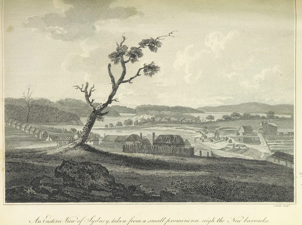 An illustration from An Account of the English Colony in New South Wales ... To which are added, some particulars of New Zealand; compiled ... from the MSS. of Lieutenant-Governor King ... Illustrated by engravings, 1804, leaf 209